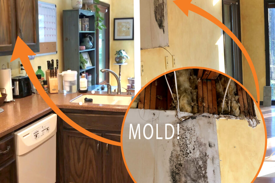 Indianapolis mold removal during kitchen remodel