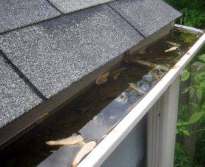 clean gutters avoid mold removal in Indianapolis
