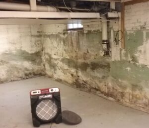 mold 3