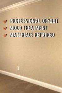 Water damage contractor and mold removal specialist