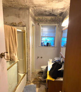 bathroom-mold-job