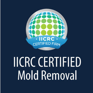 iicrc-certified-mold-removal