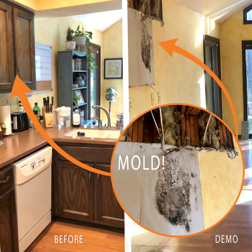 Indianapolis mold removal during kitchen remodel