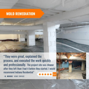 Indianapolis mold removal contractor