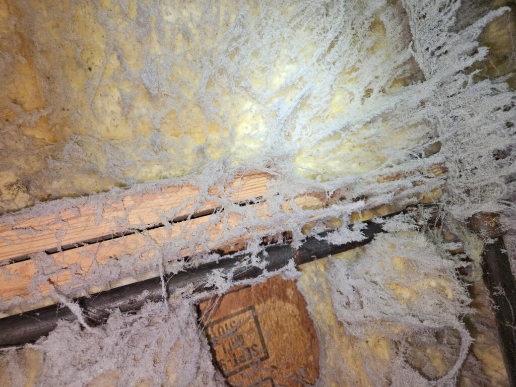 Indianapolis crawlspace repair contractor