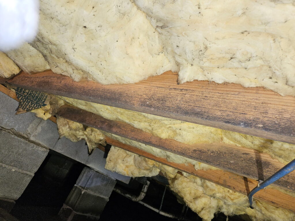 CRAWLSPACE INSPECTION 3 1024x768