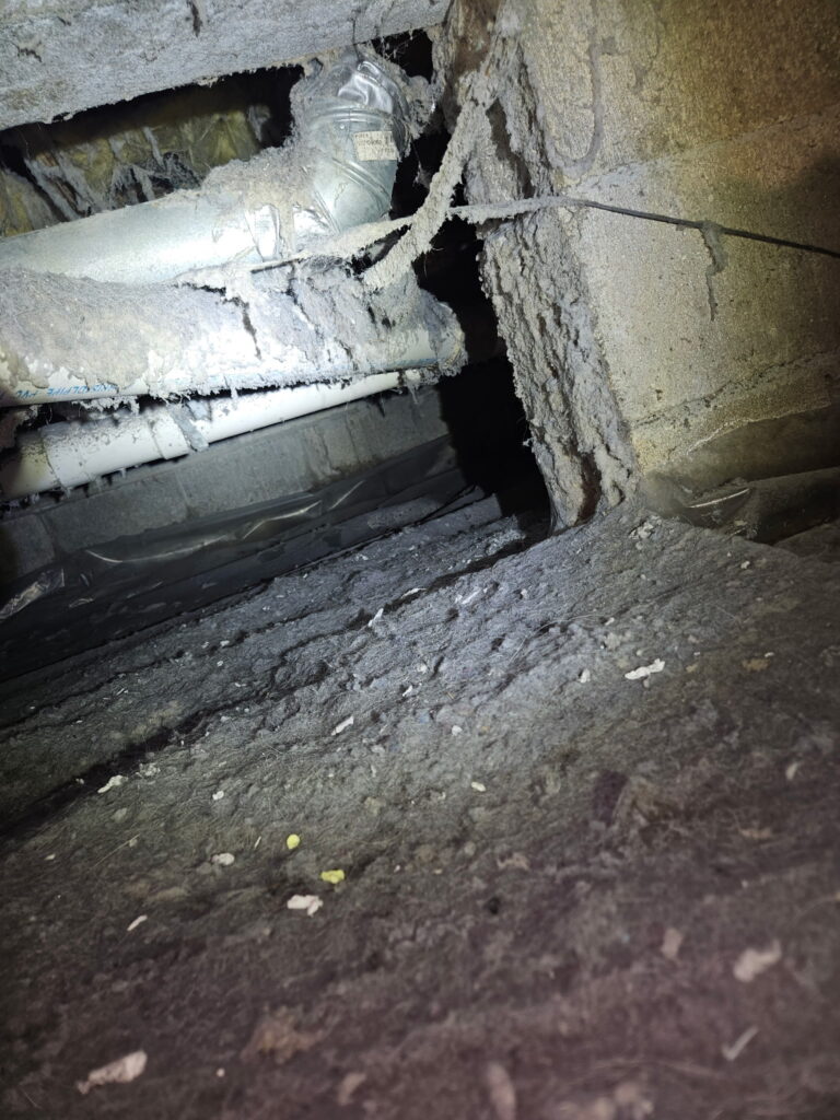 CRAWLSPACE INSPECTION 768x1024
