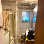 Bathroom Mold Job