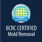 Iicrc Certified Mold Removal