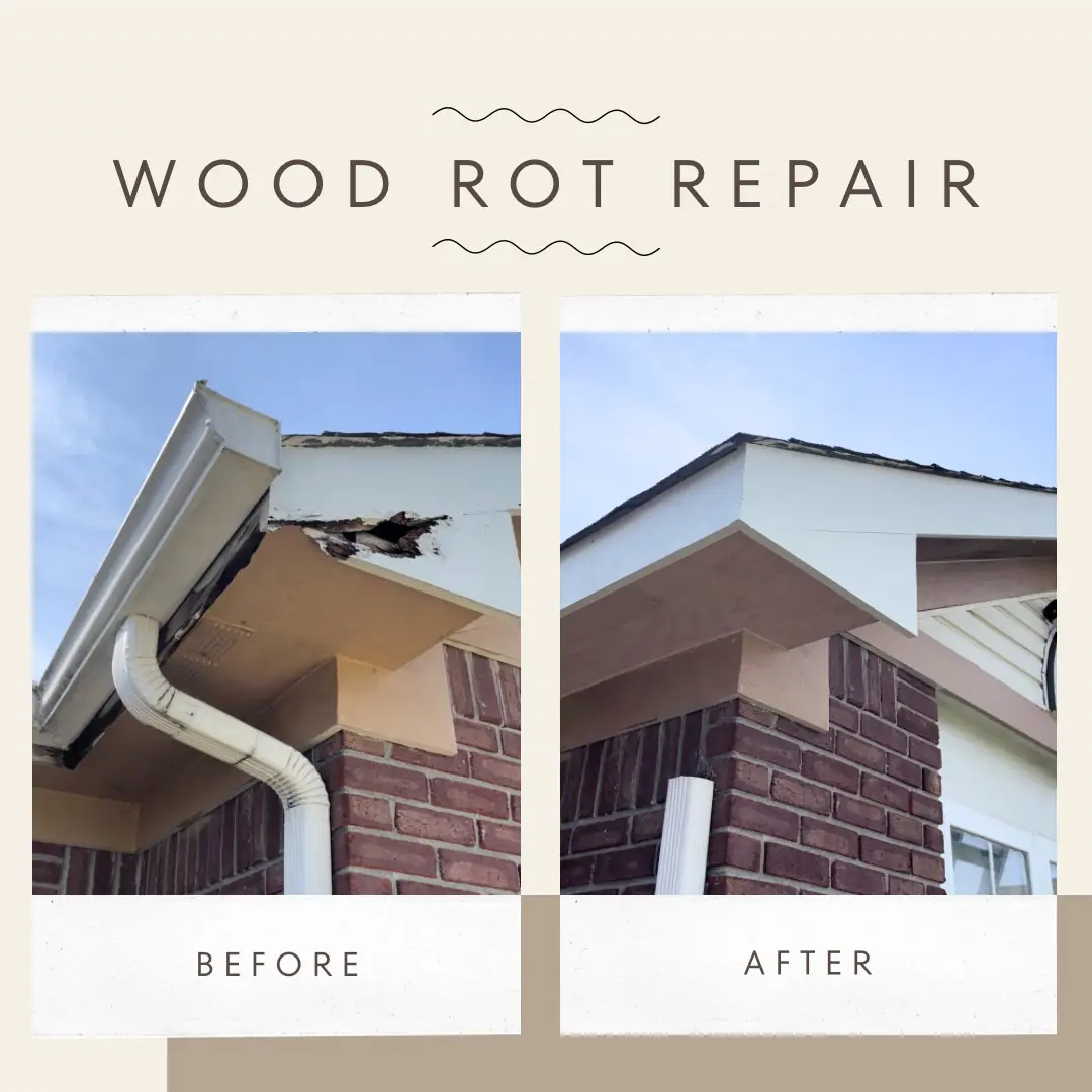 wood rot-before-after